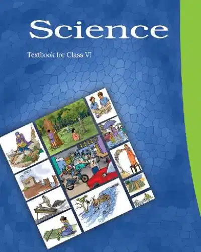 ncert class 6